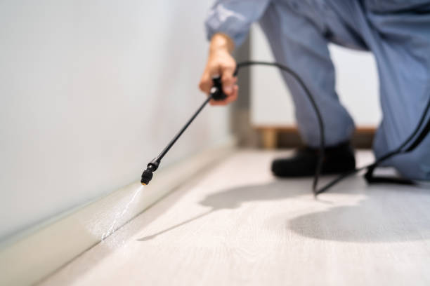 Professional Pest Control in Crandall, TX